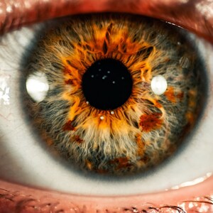 Eye Reading - Brief