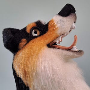 May include: Close-up of a plush dog head with black, brown, and white fur. The dog's mouth is open, revealing its tongue and teeth.