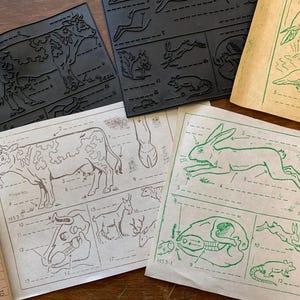Vintage Classroom Rubber Stamp Vintage French Stamp for Art Projects Vintage Animal Biology Rubber Stamp Vintage Stamp for Scrapbooking