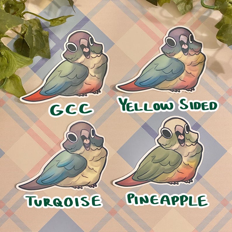 May include: Four illustrated stickers of green cheek conures with different color variations. The stickers are labeled "GCC", "Yellow Sided", "Turquoise", and "Pineapple".