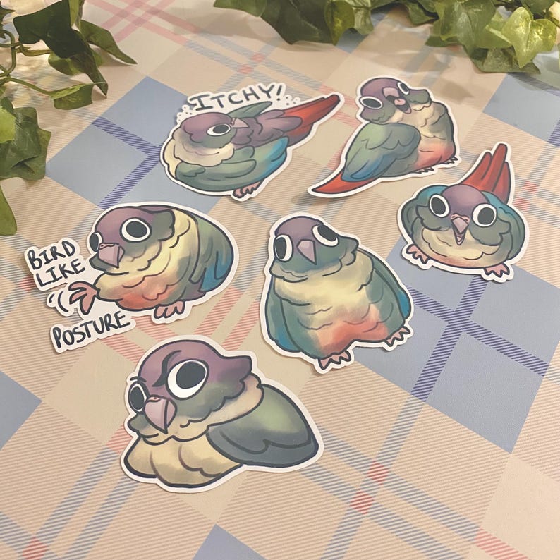 May include: A set of six colorful cartoon parakeet stickers with different expressions. The stickers feature phrases like "itchy" and "bird like posture".