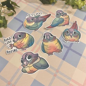 May include: A set of six colorful cartoon parakeet stickers. The stickers feature different parakeets in various poses, including one with the text "Itchy!" and another with the text "Bird Like Posture".