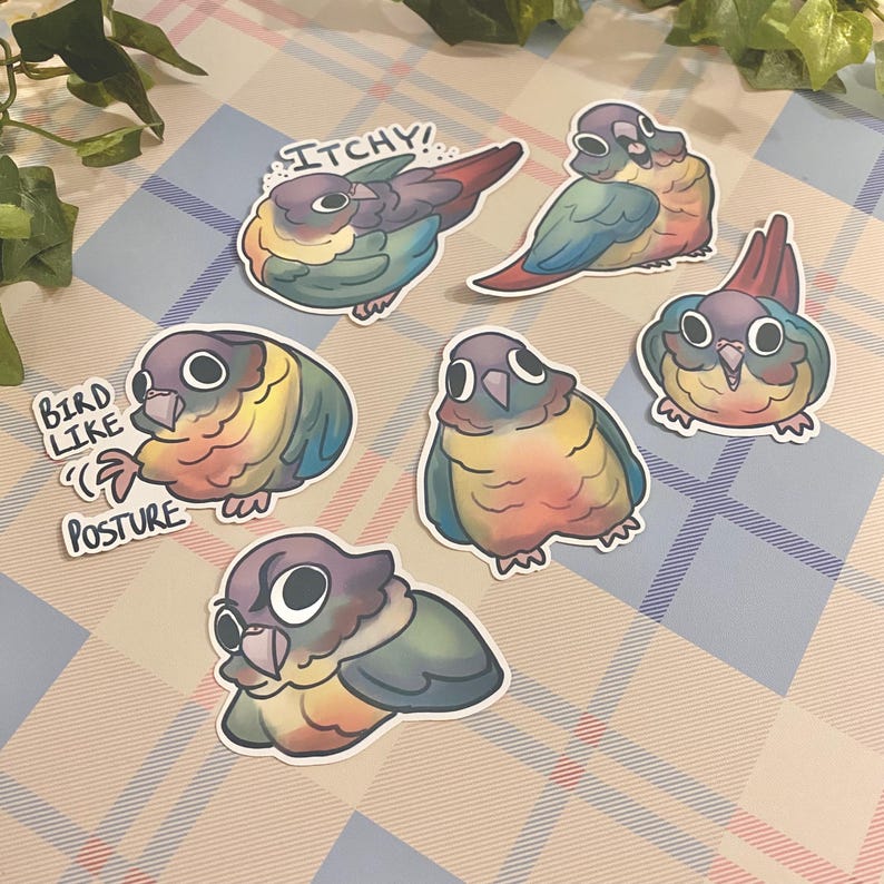 May include: A set of six colorful cartoon parakeet stickers. The stickers feature different parakeets in various poses, including one with the text "Itchy!" and another with the text "Bird Like Posture".