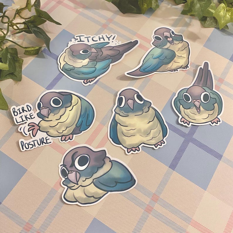 May include: A set of six colorful stickers featuring cartoon parakeets in various poses. The stickers have a whimsical and humorous style, with some featuring text like "Bird Like Posture" and "Itchy!"