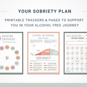 Quit Drinking Tracker: Alcohol-Free Journey Digital Worksheets (Digital Download