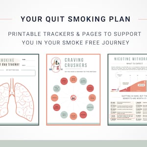 Quit Smoking/Vaping Tracker: Digital Worksheets & Guide (Digital Download)