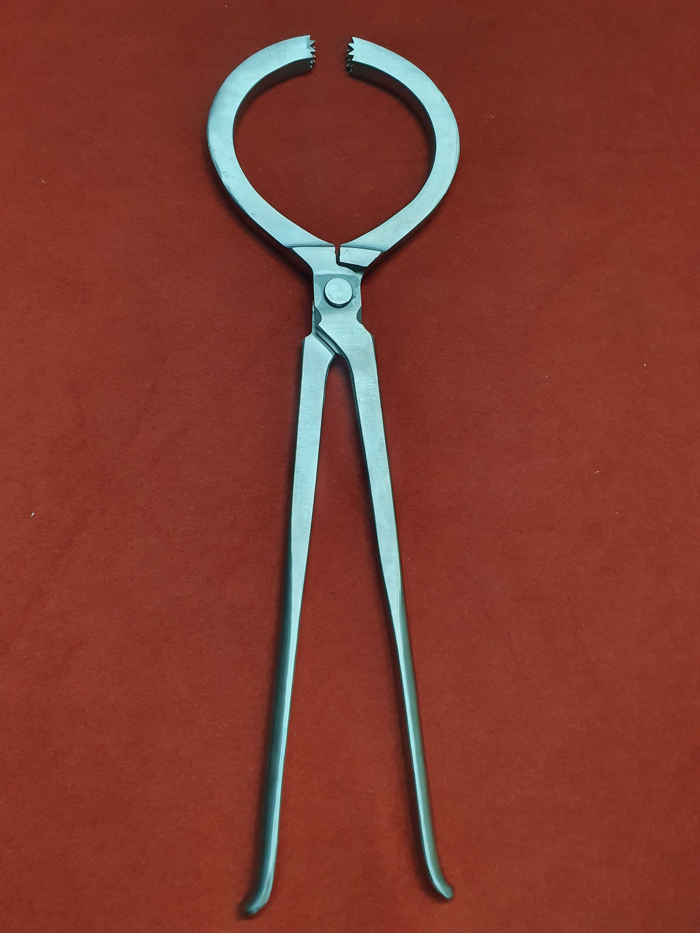 Farrier Tools Kit Hoof Nipper Clincher Hoof Tester Nail Puller Etsy