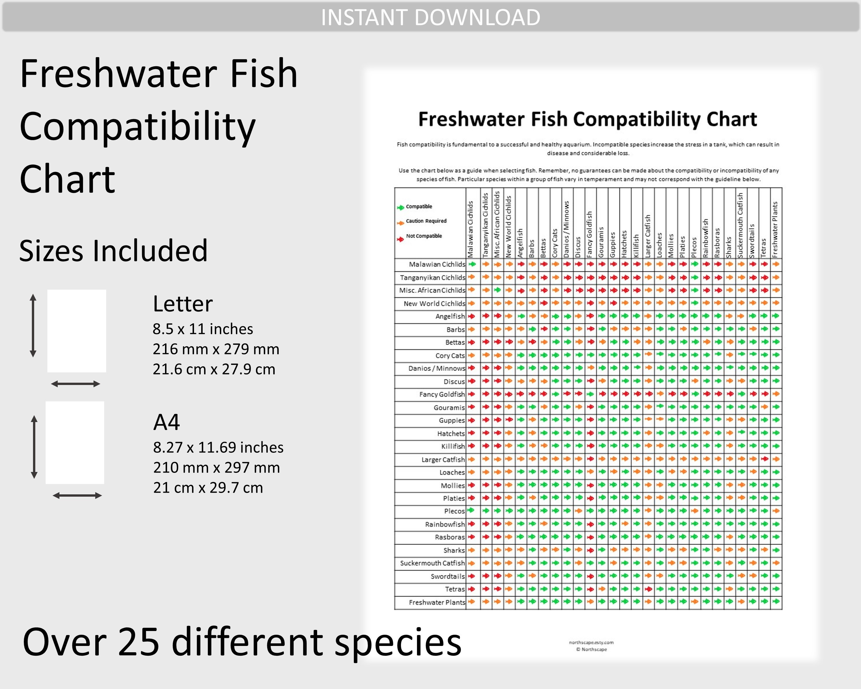 Freshwater Fish Compatibility Chart - Etsy
