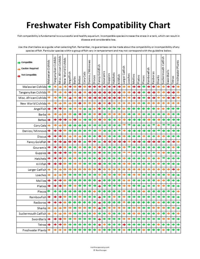Freshwater Fish Compatibility Chart - Etsy