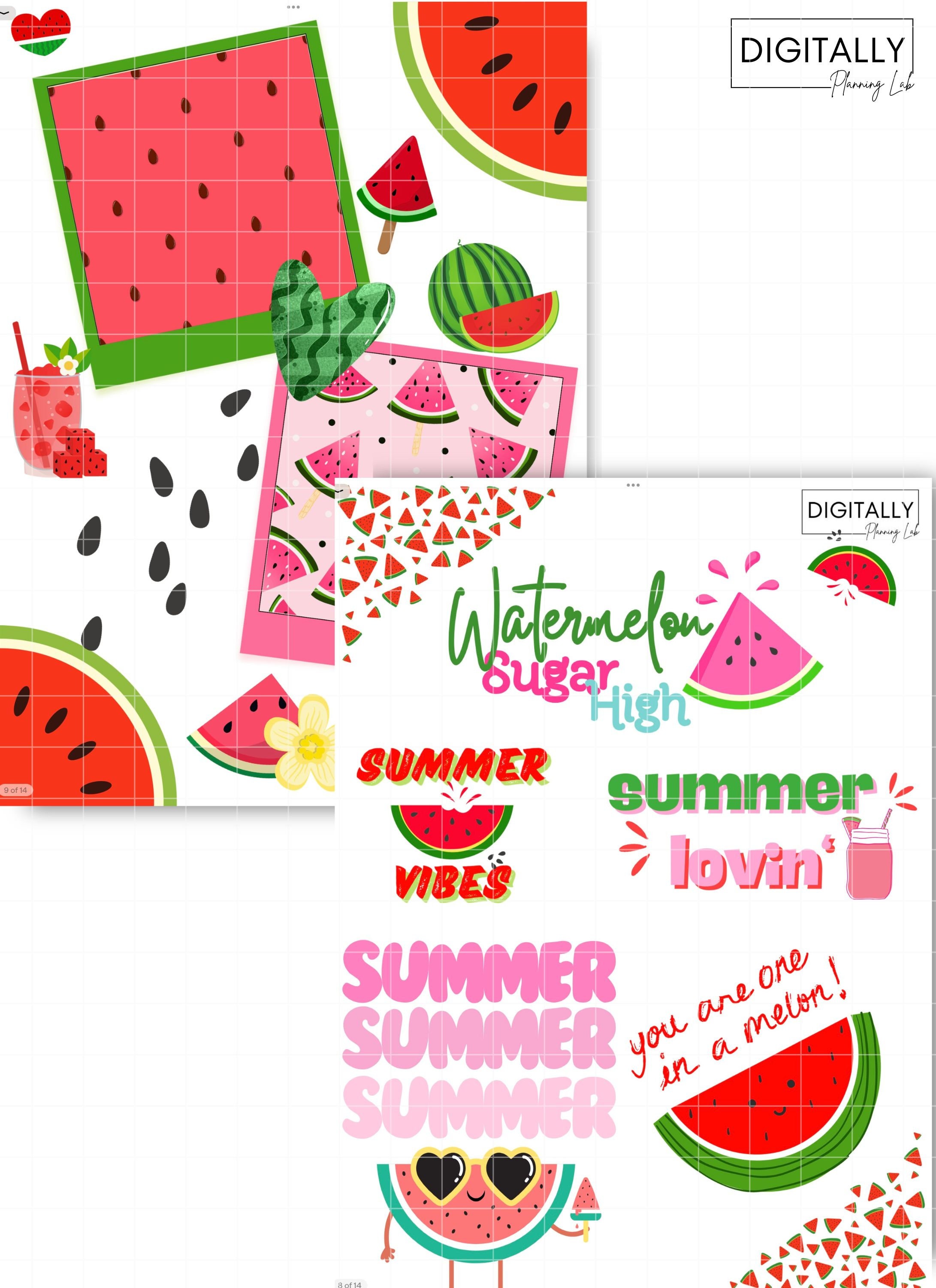 Watermelon Digital Sticker Watermelon Punch Pack Digital Stickers | Goodnotes Stickers | PNG ...