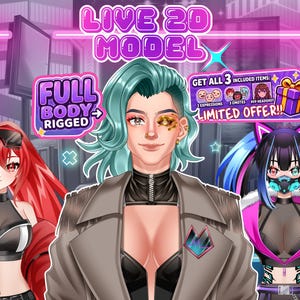 Fully Rigged Live2D VTuber Model Commission, Anime VTuber Avatar, PNGTuber Assets, Twitch Streamer Model, VBridger Ready, VTube Studio Character Design