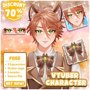 Custom Vtuber Model Live2D Vbridger Commercial Use Vtuber Male Female Ready to Rigging Character Design and  Vtuber Anime