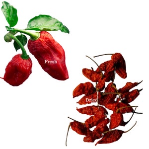 Ghost Chilli | Smoke dried | organic | Free Delivery