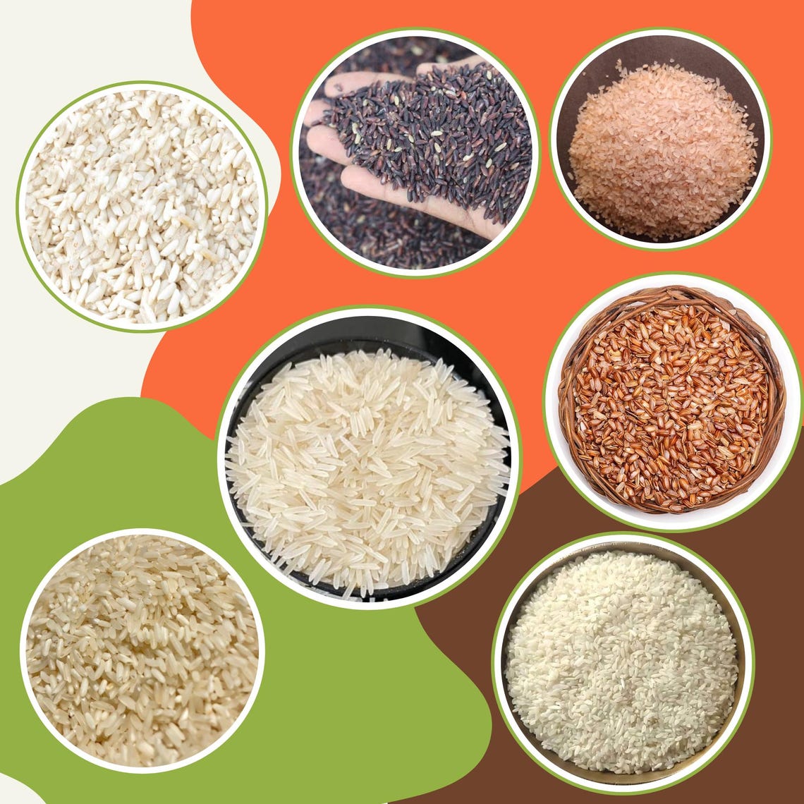 Exotic Rice Variety Package Includes Black Rice, Aromatic Joha Rice ...