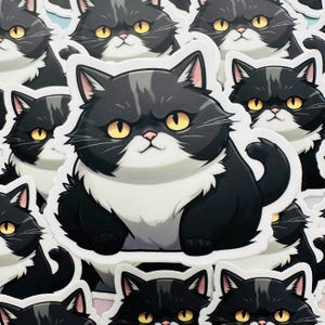 050 Mariposa Kawaii Tuxedo Cat Sticker