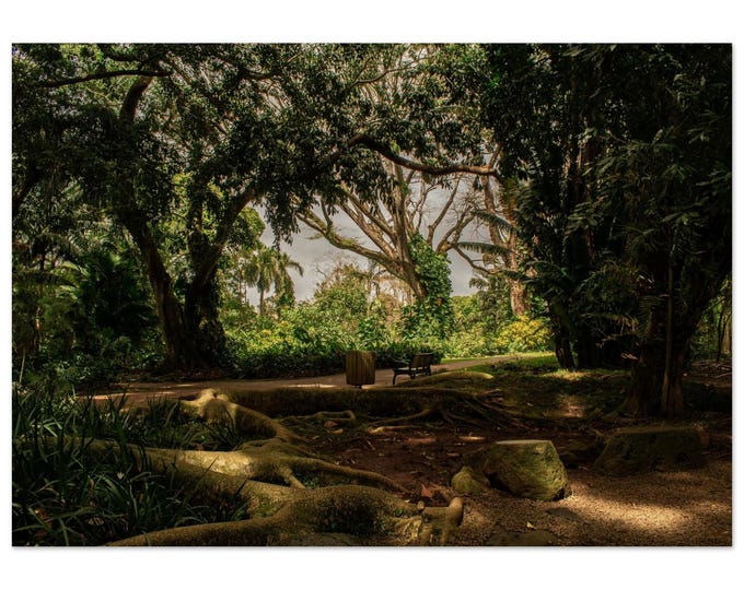 Wahiawa Botanical Garden — Wood Print