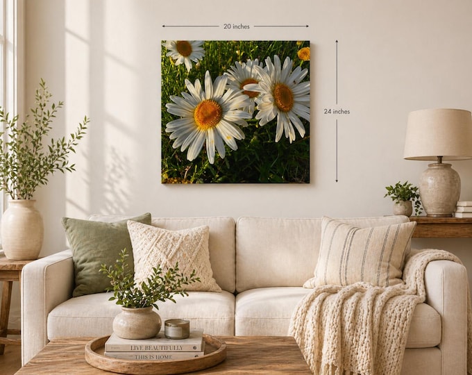 Wild Daisy Canvas Wall Art
