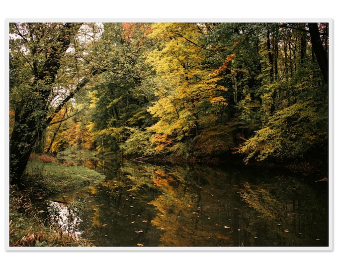 Autumn Wolf Creek — Framed Poster