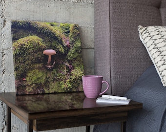 Isolated Mushroom Photograph - Canvas Print