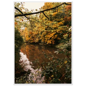 Autumn Creek - Classico poster con cornice in legno su carta semi-lucida