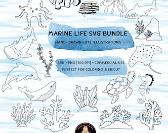 Paquete SVG de vida marina, arte lineal de criaturas marinas, elementos para colorear submarinos, lindo pez ballena tortuga PNG para Cricut e impresión