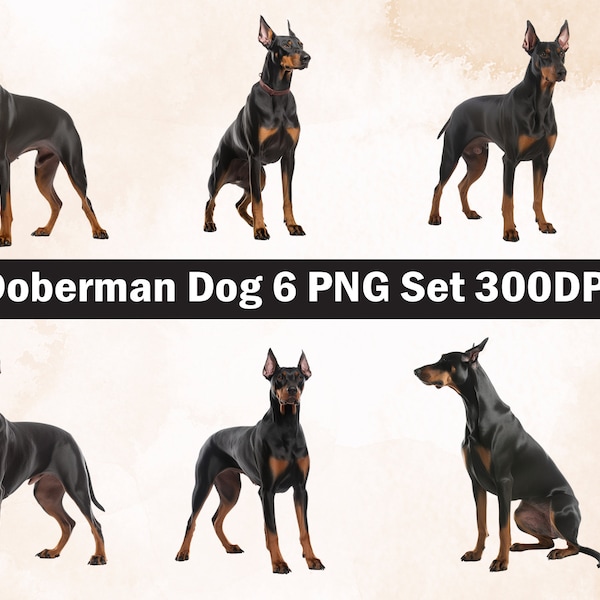 Doberman Dog PNG Sublimation Design,Doberman png,Doberman  illustration,Digital Download,Png Sublimation,Dog pet Png ,Doberman Dog