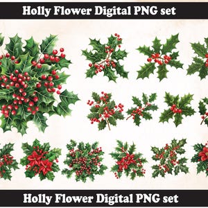 Holly leaf Flower PNG Sublimation Design,Holly leaf png,Holly leaf illustration,Digital Download, Christmas Holly leaf,Holly svg,Holly leaf