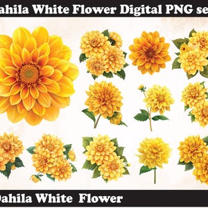 Dahlia Yellow Flower PNG Sublimation Design,Dahlia png,Dahlia illustration,Digital Download,Png Sublimation,Dahlia Yellow flower png,Dahlia