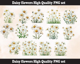 Daisy Flower PNG | Printable DIY template htv  | sublimation file (Digital Download) l Last Minute gift