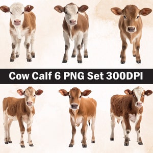 Cute Cow calf PNG Sublimation Design, calf  png, calf  illustration,Digital Download,Png Sublimation,Cute Cow calf png,Cow png,Calf png