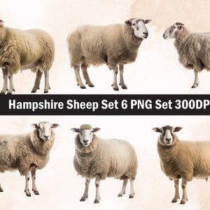 Dorper Sheep PNG Sublimation Design,Sheep png,Sheep illustration,Digital Download,Png Sublimation,farm animal,Sheep head png,Sheep