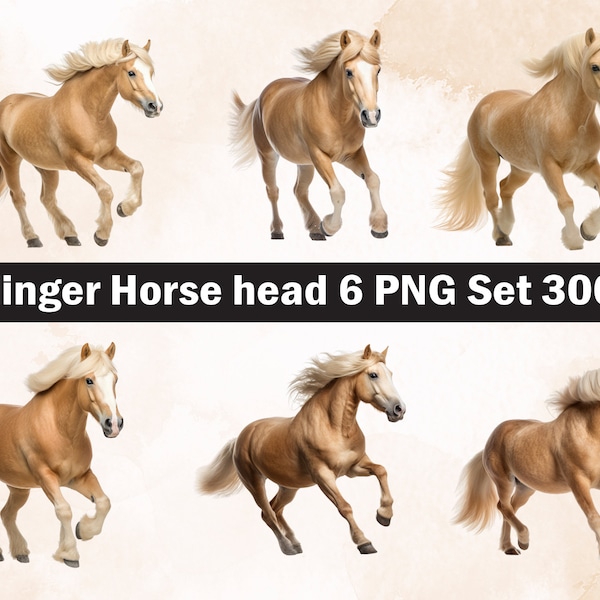 Haflinger Horse PNG Sublimation Design, Horse  png,Horse illustration,Digital Download,Png Sublimation, Horse head Svg,Horse running Png