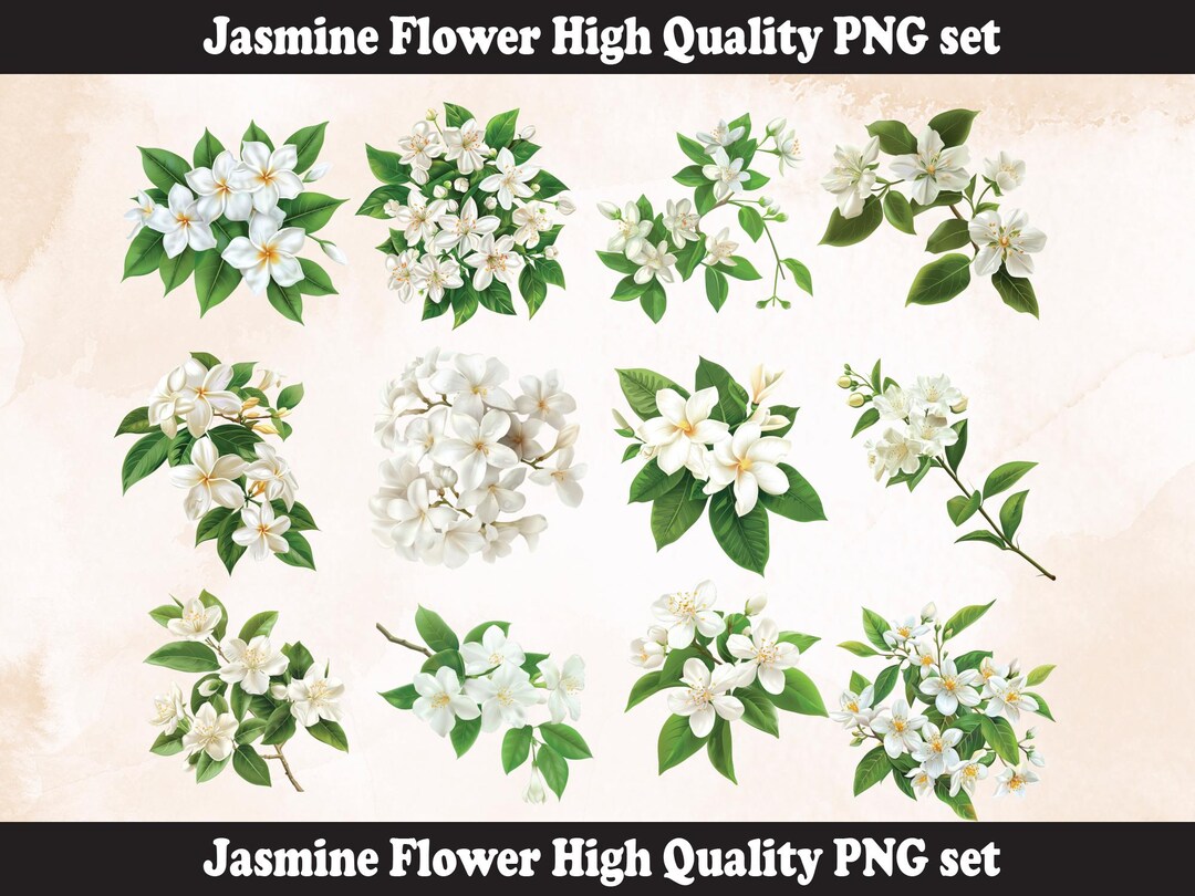 Jasmine Flower PNG | Printable DIY Template Htv | Sublimation File ...