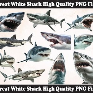 Great white shark PNG Sublimation Design, Shark png, Shark illustration,Png Sublimation, Shark Head png, Shark Png Sublimation,Shark