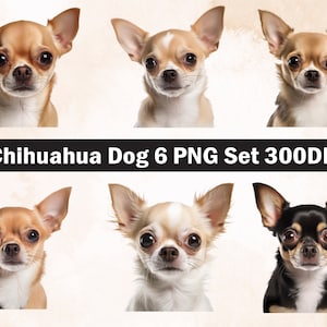 chihuahua PNG Sublimation Design,chihuahua png,chihuahua illustration,Digital Download,Png Sublimation,Dog pet Png ,chihuahua head Png,