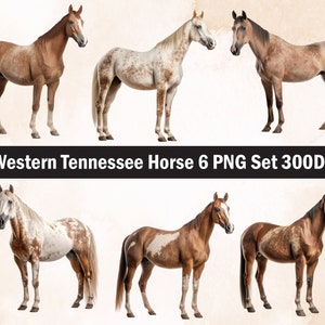 Western Tennessee Horse PNG Sublimation Design,Paard png,Paard illustratie,Digitale download,Paard rennen,Paard Png Sublimatie,Paard
