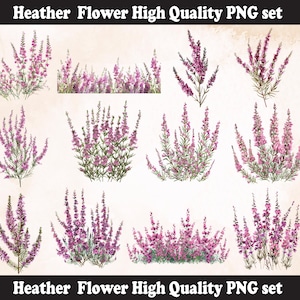 Heather flower PNG Sublimation Design,Heather flower png,Heather flower illustration,Digital Download,Png Sublimation,Floral Png,