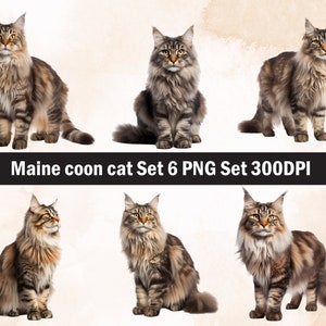 Maine Coon Katze PNG Sublimation Design, Katze png, Katze Illustration, digitaler Download, Png Sublimation, Haustier Katze, Maine Coon Katze Png, Maine Coon
