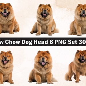 chow chow Dog PNG Sublimation Design,chow chow png,chow chow illustration,Digital Download,Png Sublimation,Dog pet Png ,chow chow Dog