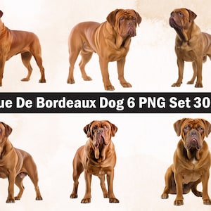 Dogue De Bordeaux Dog PNG Sublimatie Design, Dogue De Bordeaux png, Dogue De Bordeaux illustratie, Png Sublimatie, Hond huisdier Png, Hond png