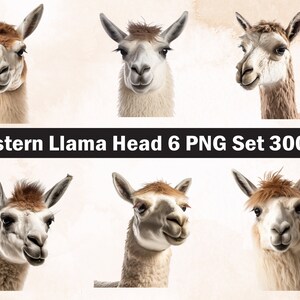 Western Llama head PNG Sublimation Design,Llama png,Llama illustration,Digital Download,Png Sublimation,Llama head,Llama Print,Llama