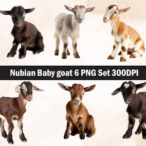 Nubian Baby goat PNG Sublimation Design,Baby goat png,Baby goat illustration,Digital Download, Png Sublimation,Baby goat Png,Goat Png,
