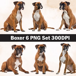 Boxer PNG Sublimation Design,Boxer png,Boxer illustration,Digital Download,Png Sublimation,Dog pet Png ,Boxer head Png,Boxer dog