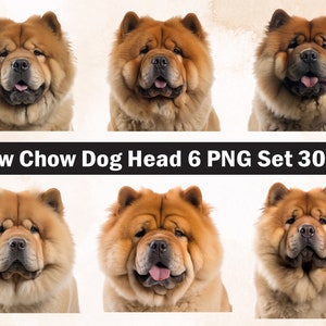 chow chow Dog PNG Sublimation Design,chow chow png,chow chow illustration,Digital Download,Png Sublimation,Dog pet Png ,chow chow Dog