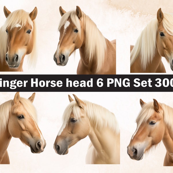 Haflinger horse PNG Sublimation Design,horse png,horse illustration,Digital Download,Png Sublimation,Farm animal Png,horse,Haflinger horse