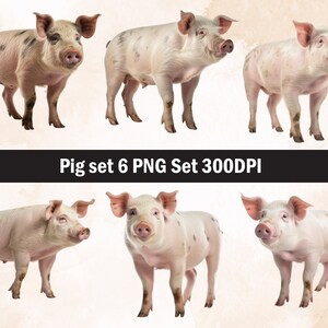 Pig PNG Sublimation Design, Pig png, Pig illustration, Download digitale, Pig Png Sublimation, Farm Animal Png, Sow Pig Png, Pink Pig Png , Pig Head