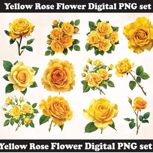 Yellow Rose PNG Sublimation Design,Rose  png,Rose  illustration,Camping Png,Yellow Rose png,Digital Download,Wedding Rose,Yellow,Rose flower