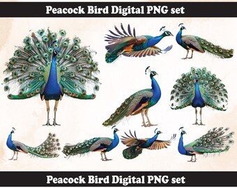 Pauw, png | Afdrukbaar DIY-sjabloon htv | sublimatiebestand (digitale download) Lastminutecadeau
