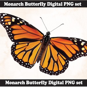 Diseño de sublimación PNG de mariposa monarca, mariposa PNG, ilustración de mariposa, descarga digital, sublimación PNG, mariposa, mariposa PNG