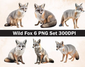 Grey fox PNG Sublimation Design,Fox png,Fox illustration,Digital Download,Png Sublimation,Grey fox head png,Fox Png,Fox ,Wild animal Png